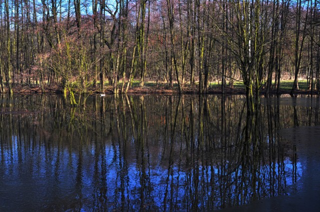 Zauberteich