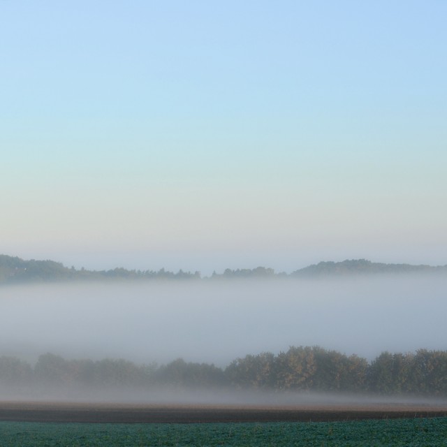 10 fog 3.jpg